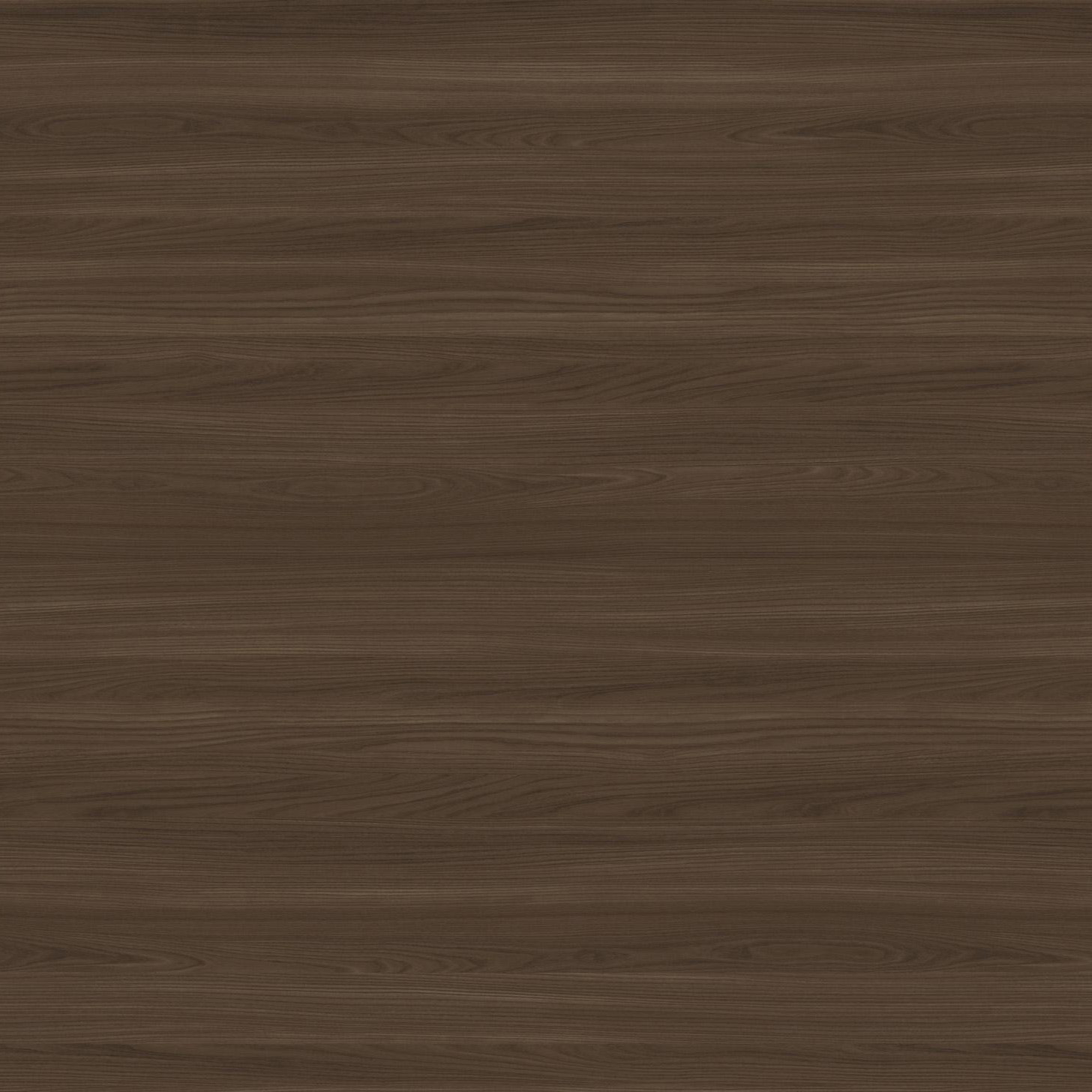 SJ#14: VALLEY FORGE ELM (V/H) Partical B