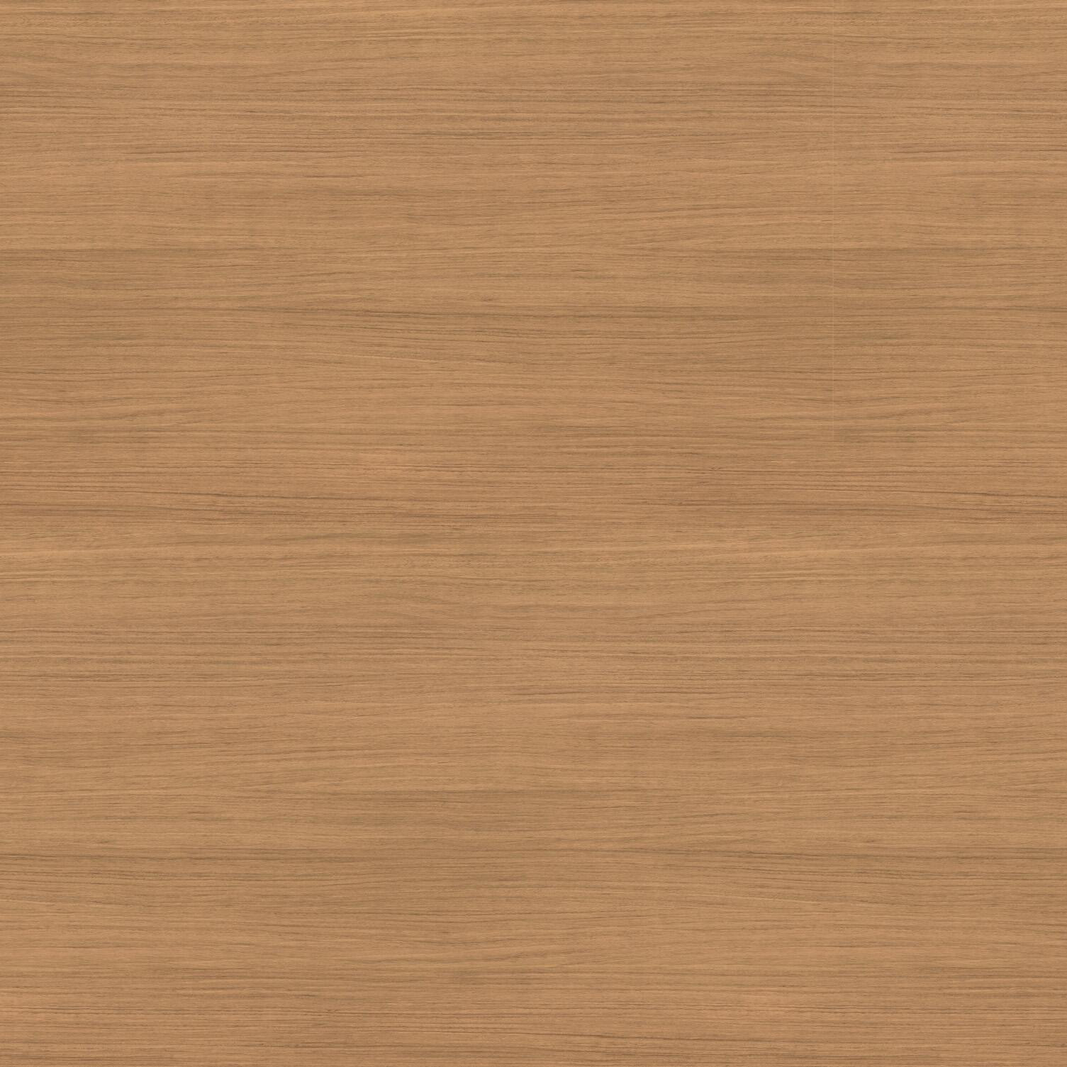 SJ#15: WHITE RIVER FOREST (V/H) Partical