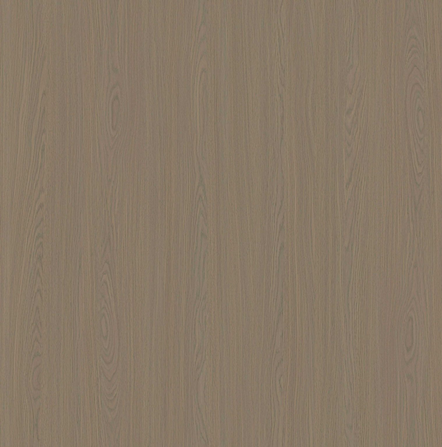 SJ#44: BOLOGNA OAK (V/H) Partical Board 